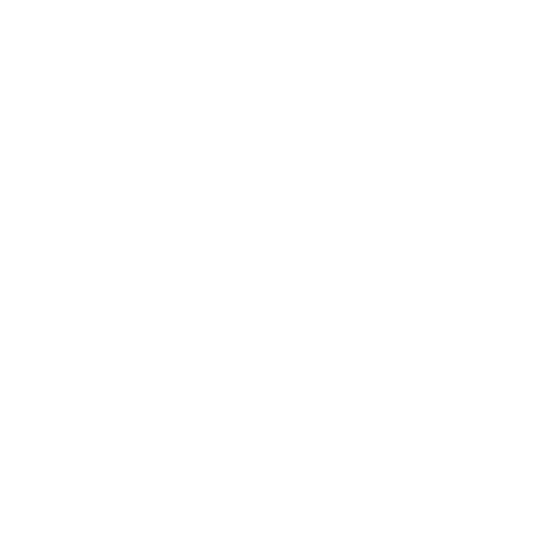 logo pie bs